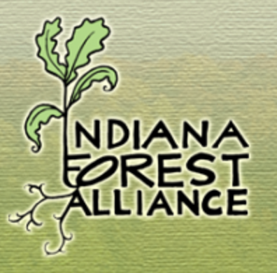 Water Bottle (one) – Indiana Forest Alliance